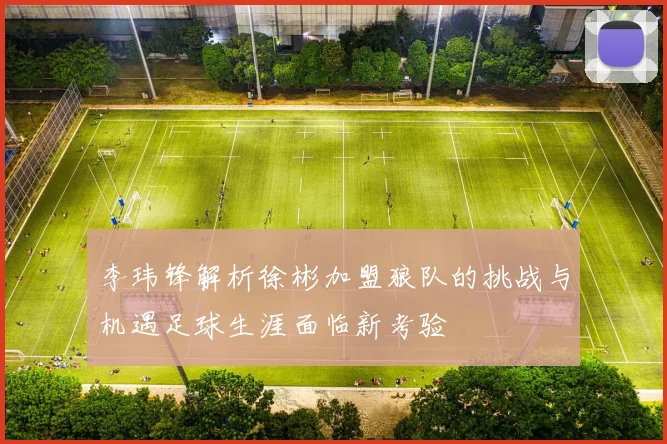 李玮锋解析徐彬加盟狼队的挑战与机遇足球生涯面临新考验
