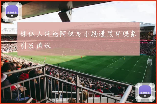 媒体人评论阿联与小杨遭黑评现象引发热议
